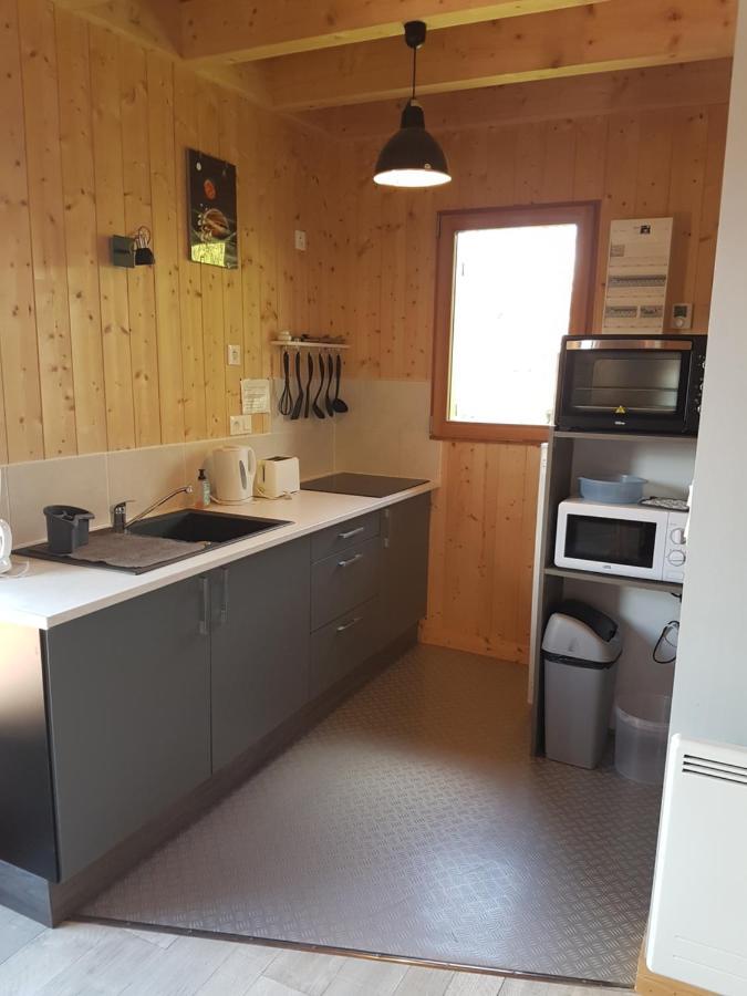 Montagnard Perce Neige Avec Terrasse Plein Sud-5 Personnes Chalet